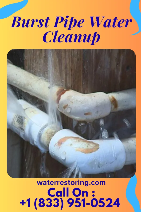 Burst Pipe Water Cleanup in Jackson, KY