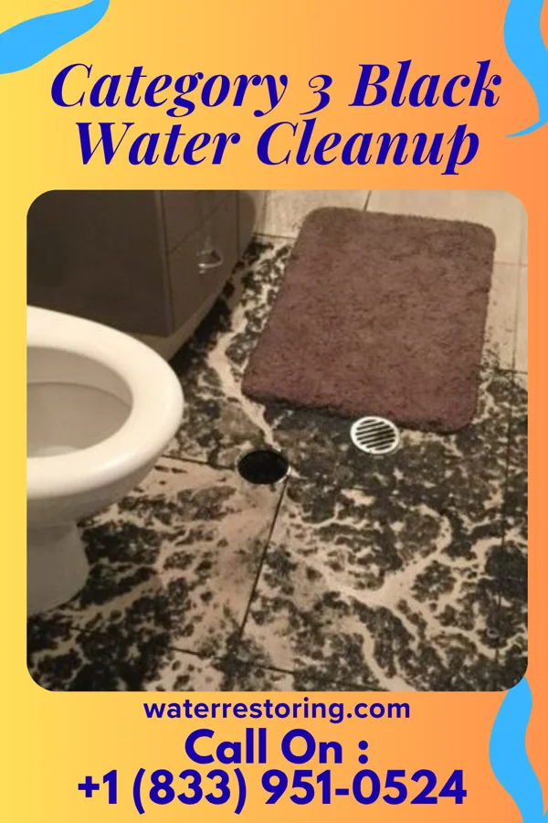 Category 3 Black Water Cleanup in Jackson, KY