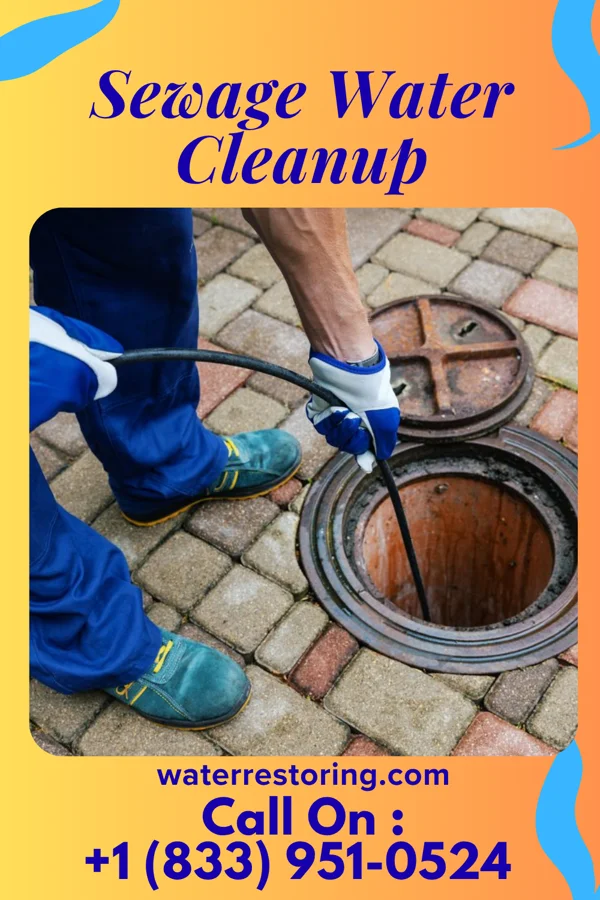 Sewage Water Cleanup in Jackson, KY