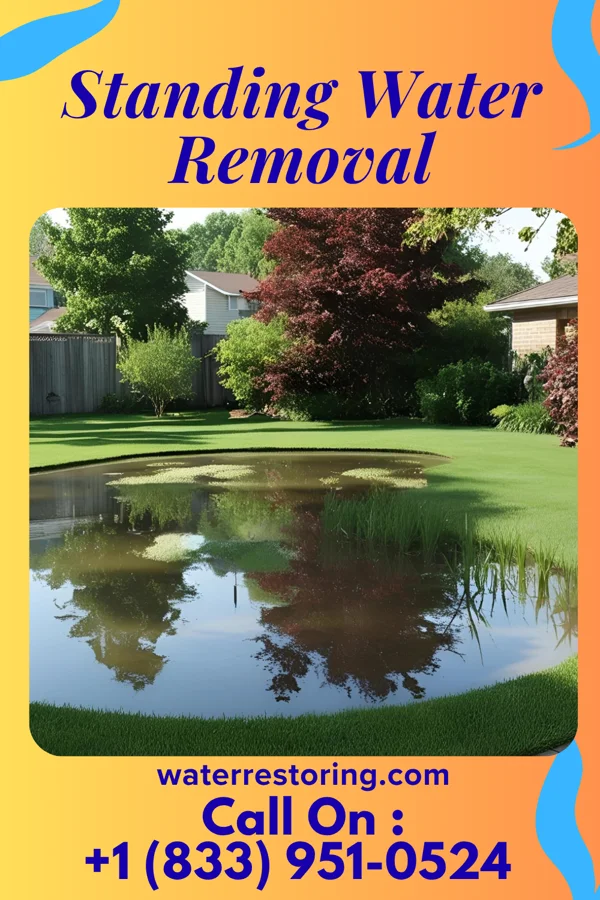 Standing Water Removal in Jackson, KY